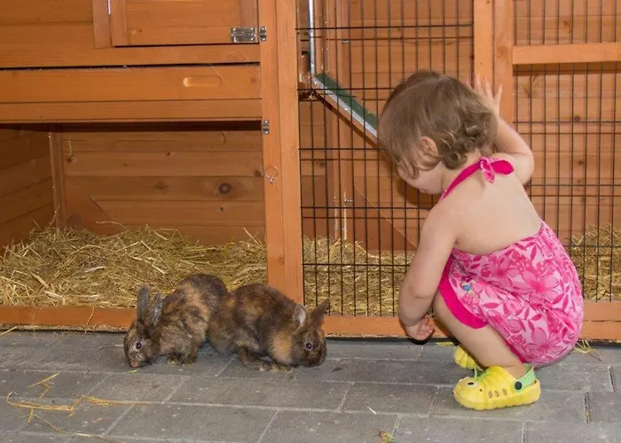 Apartament Aparthaus Alpenzauber *