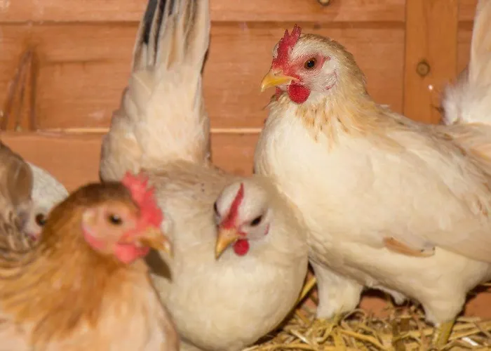 Apartamento Aparthaus Alpenzauber Neustift im Stubaital