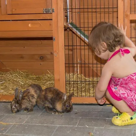 Daire Aparthaus Alpenzauber *